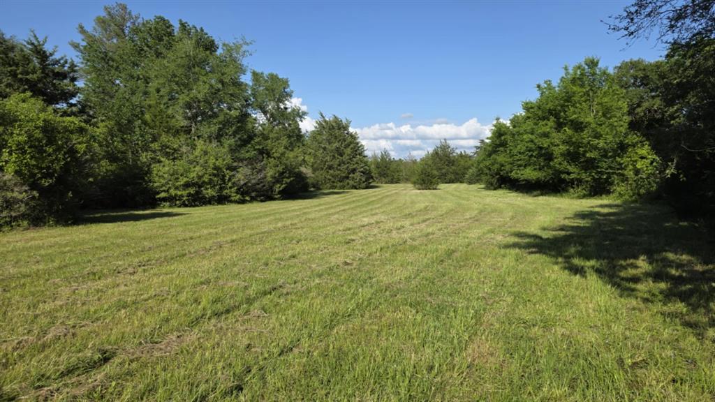 729 County Road 4040, Crockett, Texas image 15