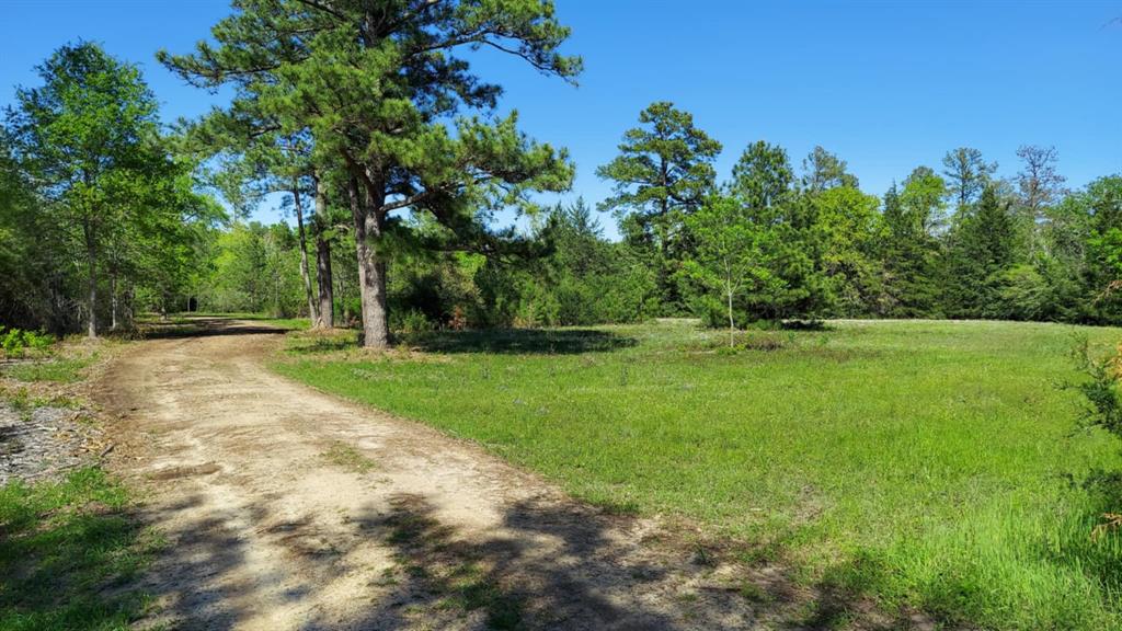 729 County Road 4040, Crockett, Texas image 5