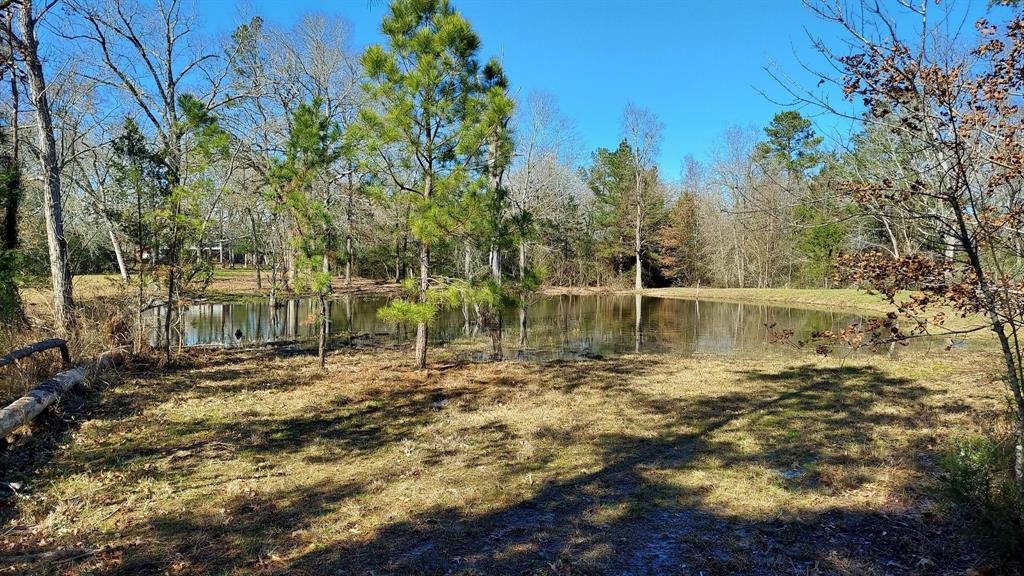 729 County Road 4040, Crockett, Texas image 30