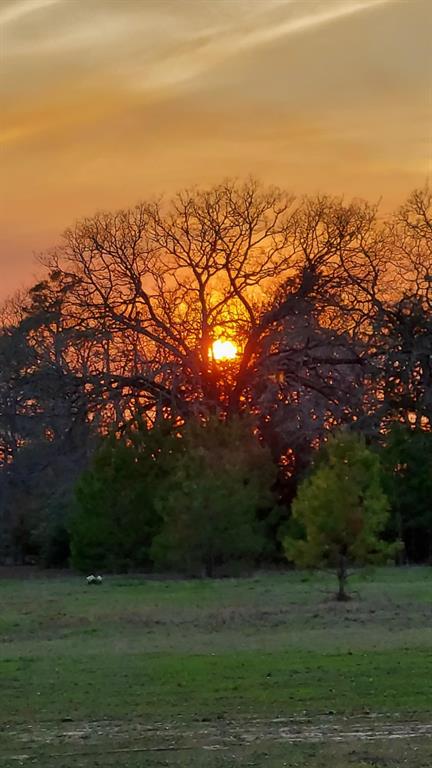 729 County Road 4040, Crockett, Texas image 41