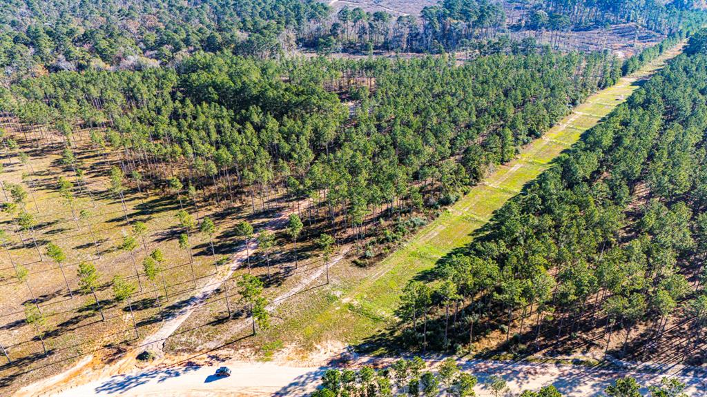 0017 Big Buck Drive, Moscow, Texas image 4