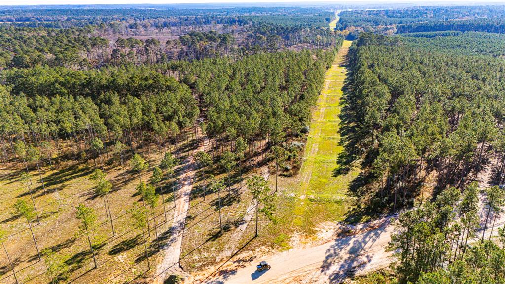 0017 Big Buck Drive, Moscow, Texas image 3