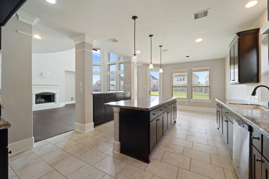 126 Honeysuckle Vine Drive, Rosenberg, Texas image 6