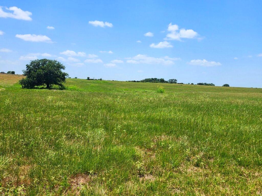 TBD Pacen Place - Lot 3, Chappell Hill, Texas image 1