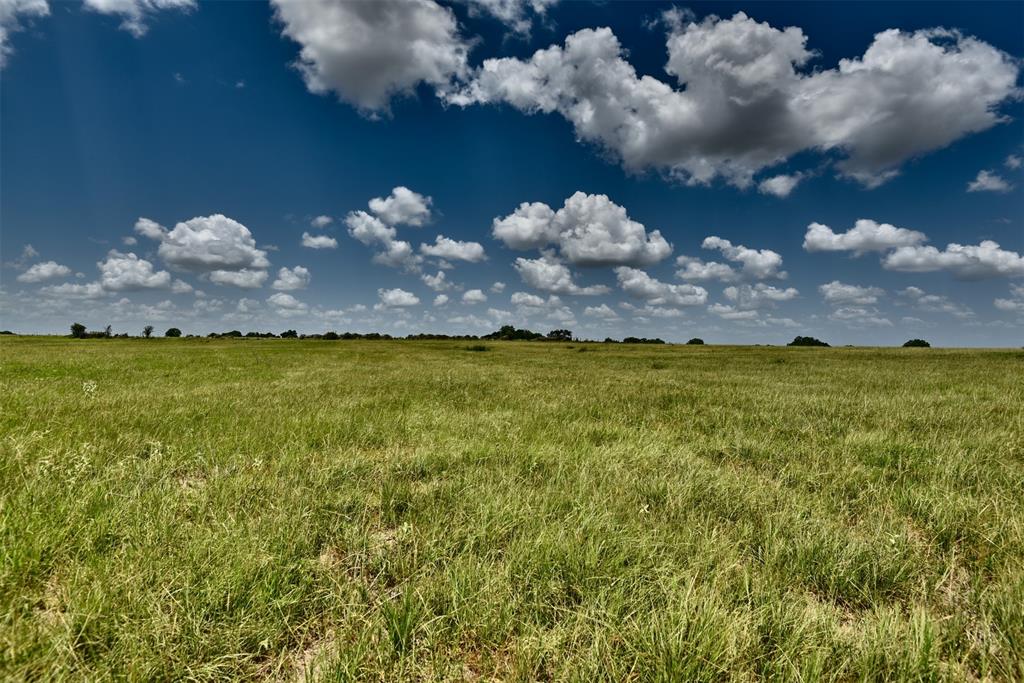 TBD Pacen Place - Lot 3, Chappell Hill, Texas image 9