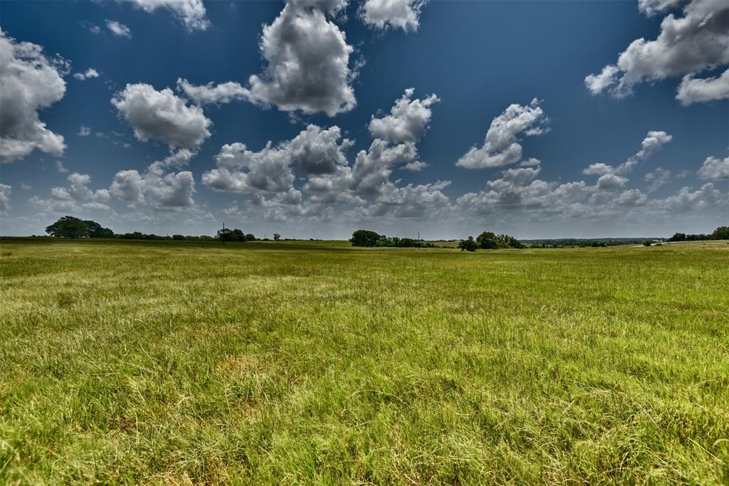 TBD Pacen Place - Lot 3, Chappell Hill, Texas image 15