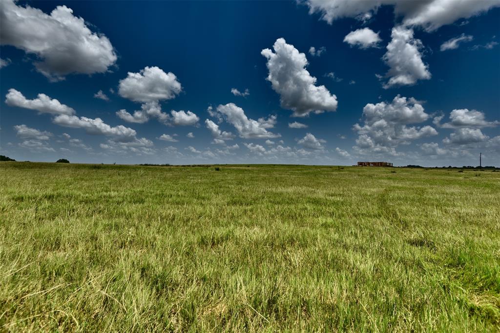 TBD Pacen Place - Lot 3, Chappell Hill, Texas image 11