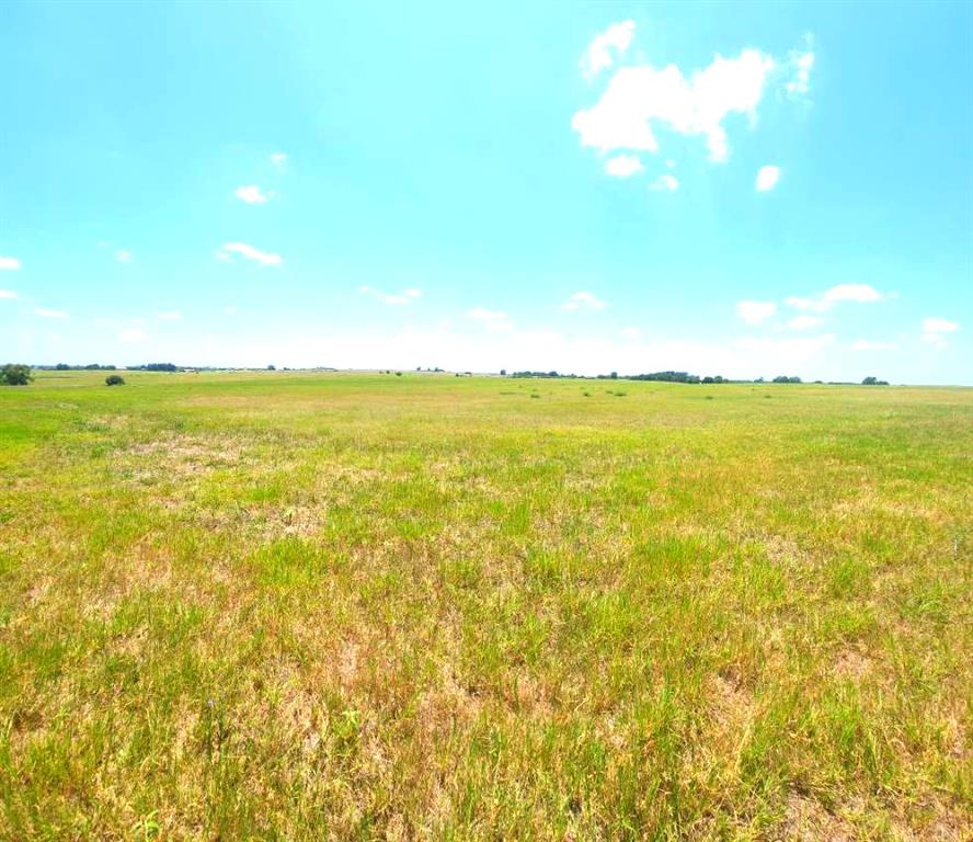 TBD Pacen Place - Lot 3, Chappell Hill, Texas image 3