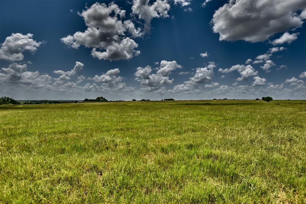 TBD Pacen Place - Lot 3, Chappell Hill, Texas image 14