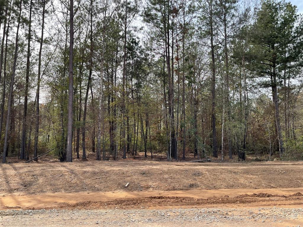 11640 Grand North Road, Willis, Texas image 8