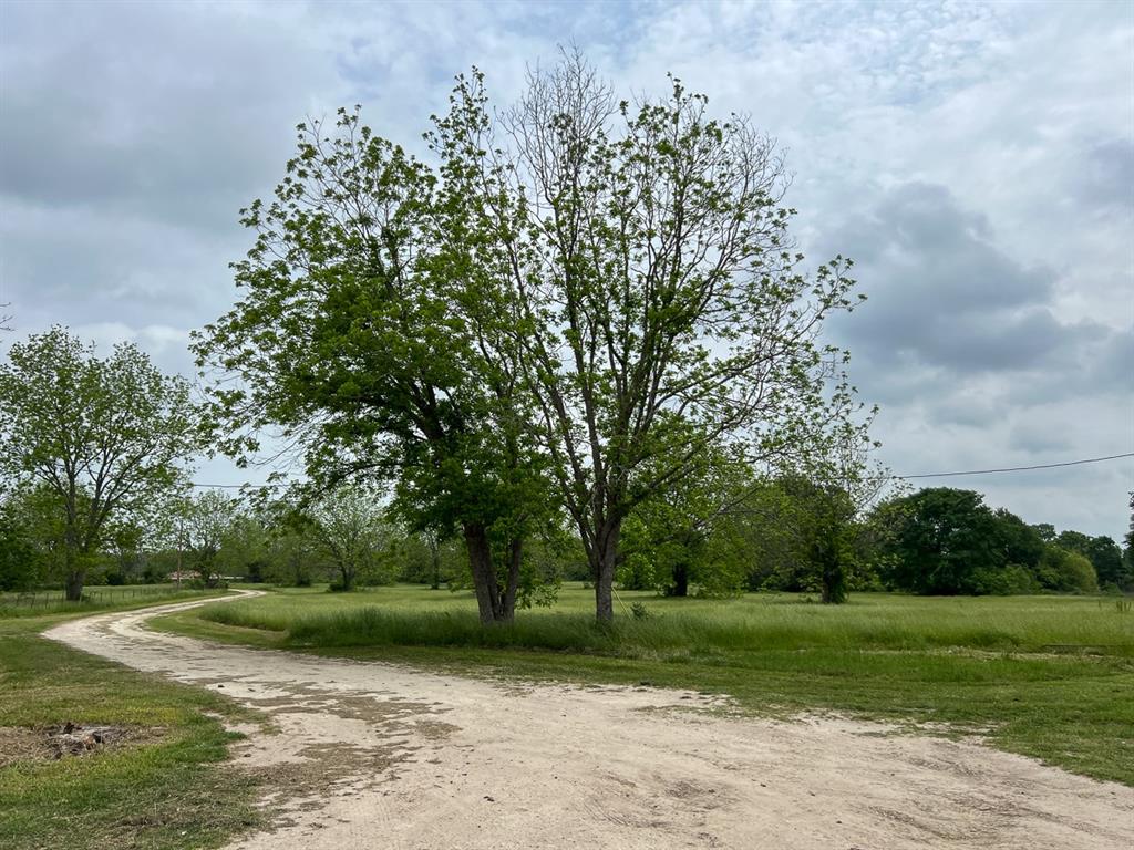 1 County Road 3620, Lovelady, Texas image 18