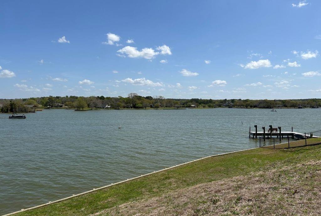 11000 N Lake Mist Lane, Willis, Texas image 3