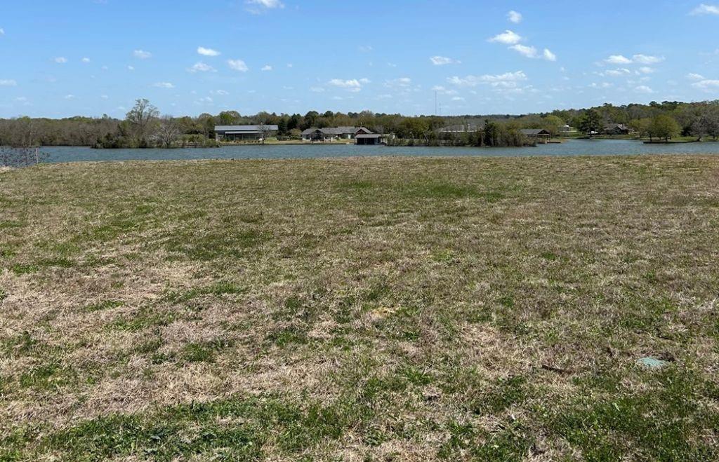 11000 N Lake Mist Lane, Willis, Texas image 4