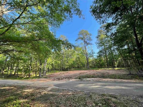 Photo of 179 Woodsedge Drive, Brookeland, TX 75931 (MLS # 58905266)