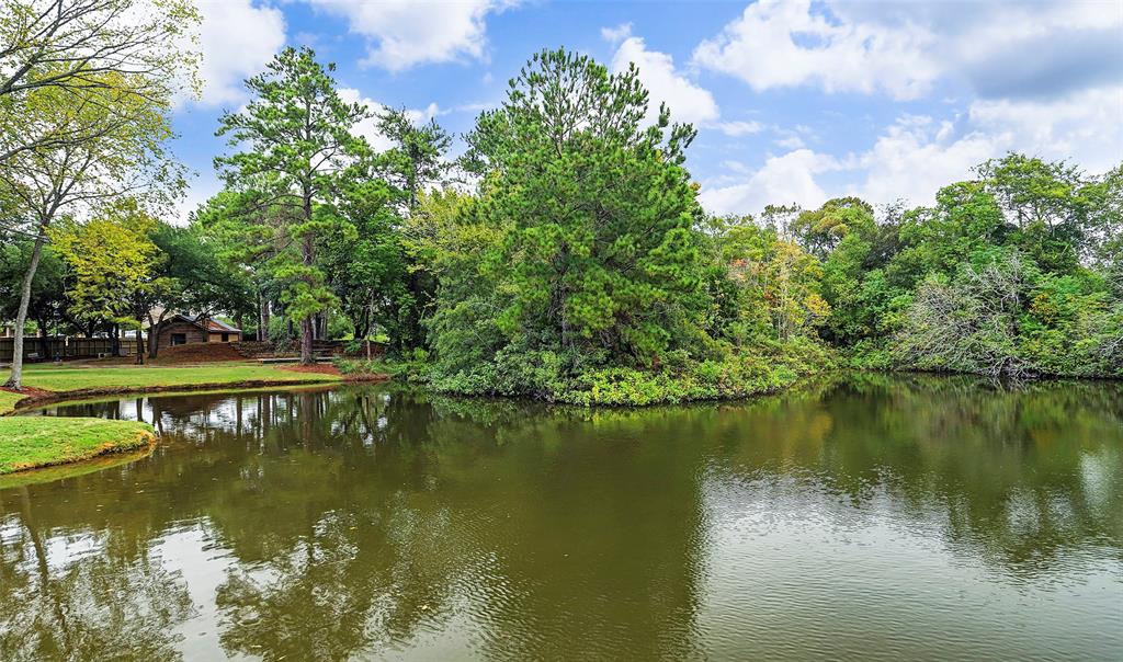 23126 Birmingham Grove Lane, Tomball, Texas image 21