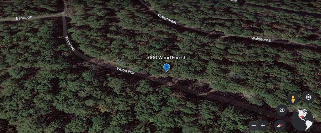 000 Wood Forest, Livingston, Texas image 2