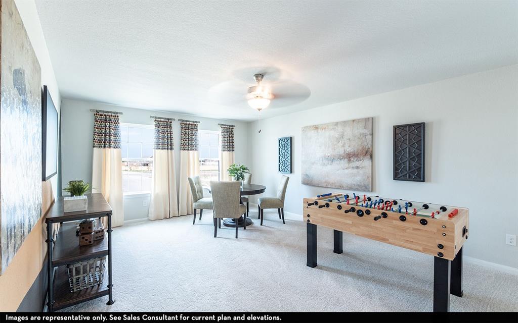 22203 Balos Lagoon Drive, Hockley, Texas image 11