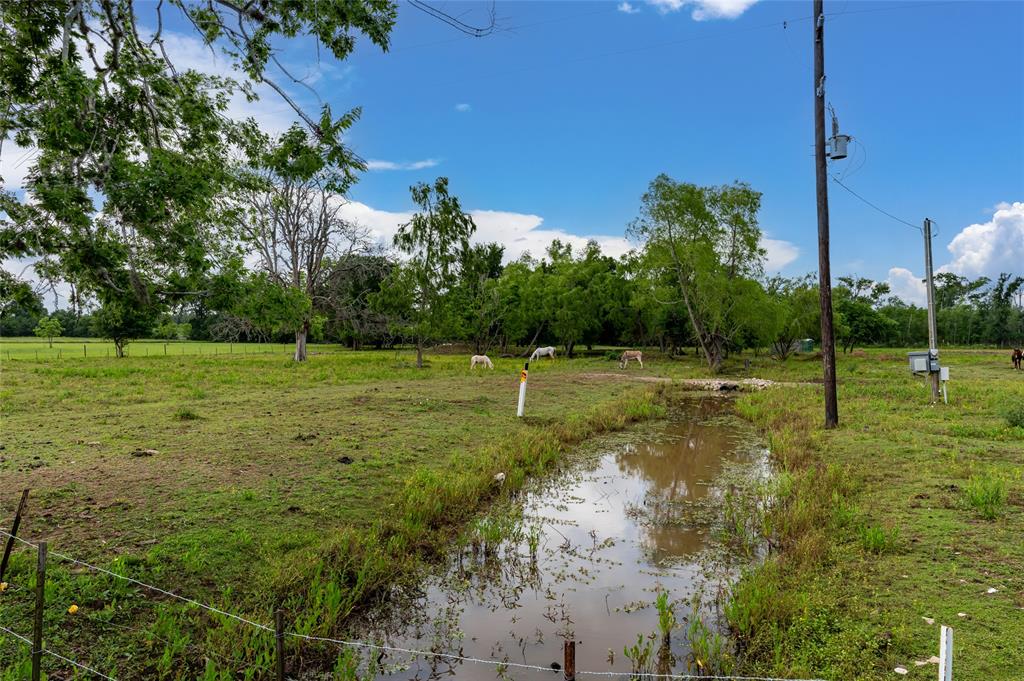 33703 Reynolds Road, Fulshear, Texas image 4