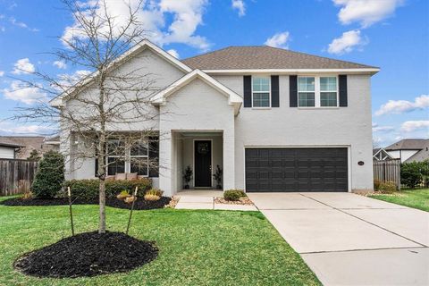 2221 Hay Field Court Conroe TX 77384