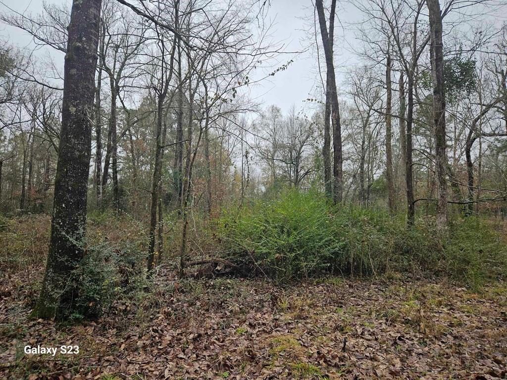 150 Lancewood Circle, Lufkin, Texas image 15