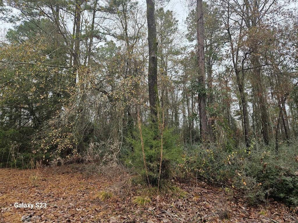 150 Lancewood Circle, Lufkin, Texas image 3