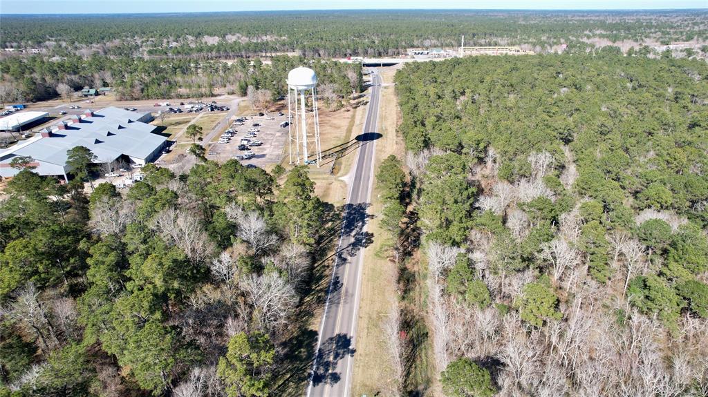 Hwy 61, Hankamer, Texas image 4