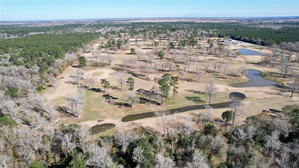 Hwy 61, Hankamer, Texas image 7