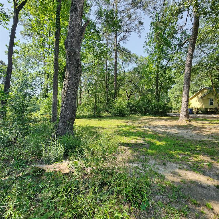 19391 Acorn Hill Drive, Conroe, Texas image 14