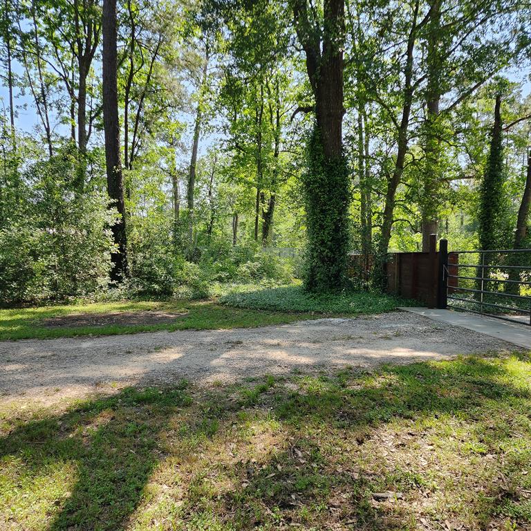19391 Acorn Hill Drive, Conroe, Texas image 12