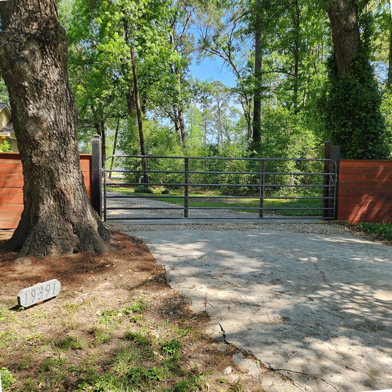 19391 Acorn Hill Drive, Conroe, Texas image 1