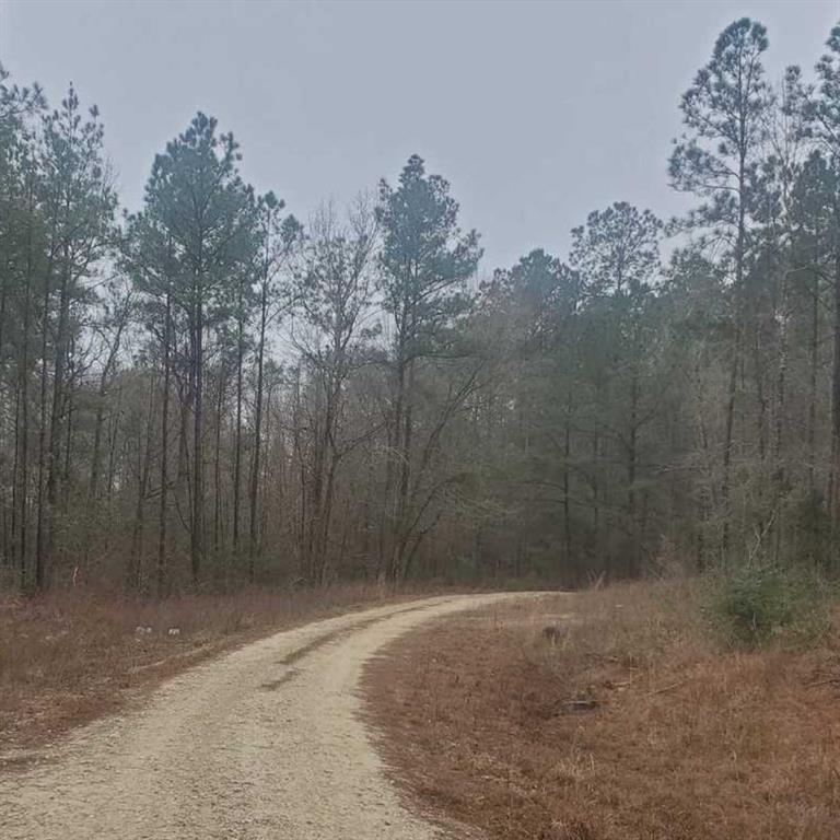 Lots 73, 74, 75 Sweetgum Lane