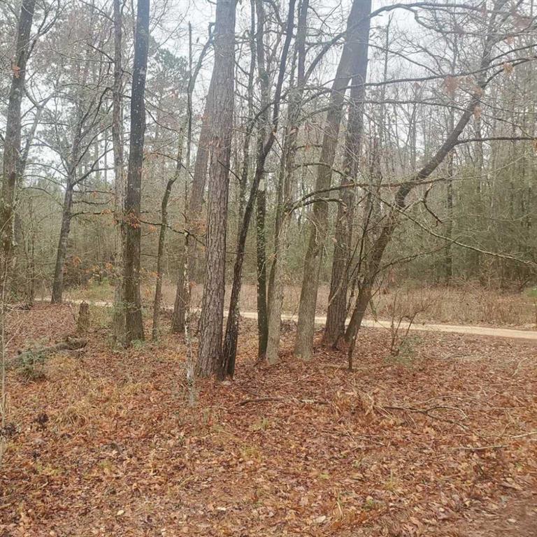 Lots 73, 74, 75 Sweetgum Lane