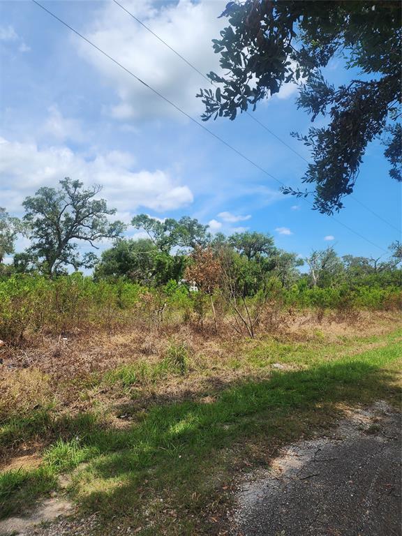 County Rd 506, Brazoria, Texas image 1