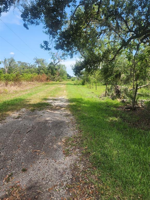 County Rd 506, Brazoria, Texas image 5