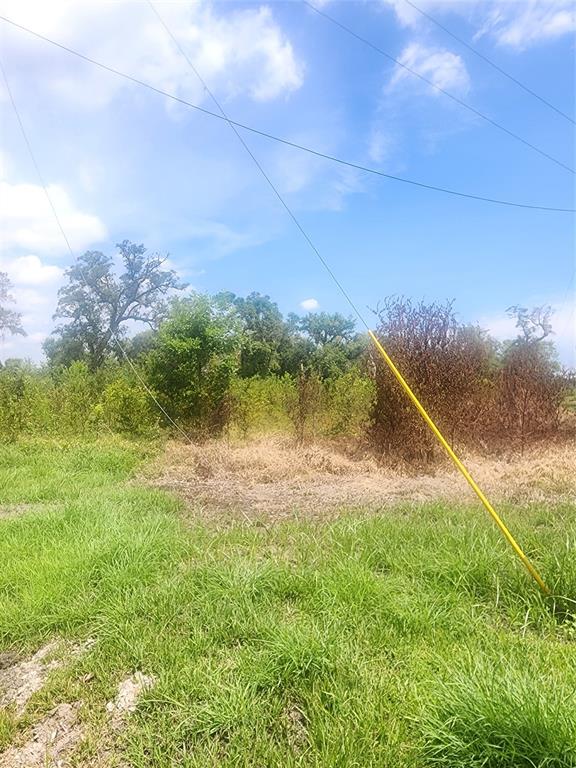 County Rd 506, Brazoria, Texas image 4