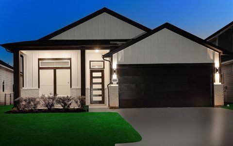 11021 N Lake Mist Lane Willis TX 77318