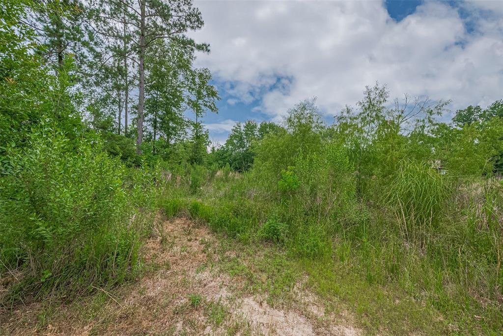 371 County Road 5015, Cleveland, Texas image 36