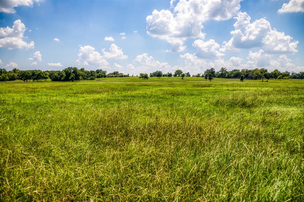 Flat Prairie Road, Washington, Texas image 16