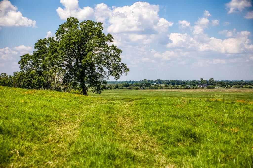 Flat Prairie Road, Washington, Texas image 13