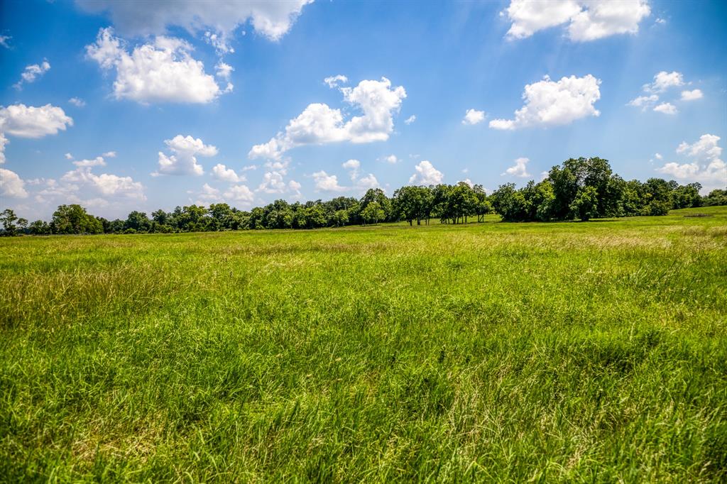 Flat Prairie Road, Washington, Texas image 17