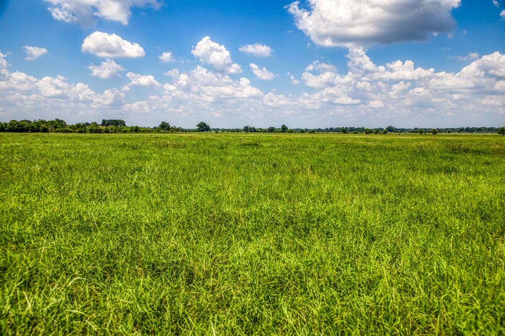 Flat Prairie Road, Washington, Texas image 15