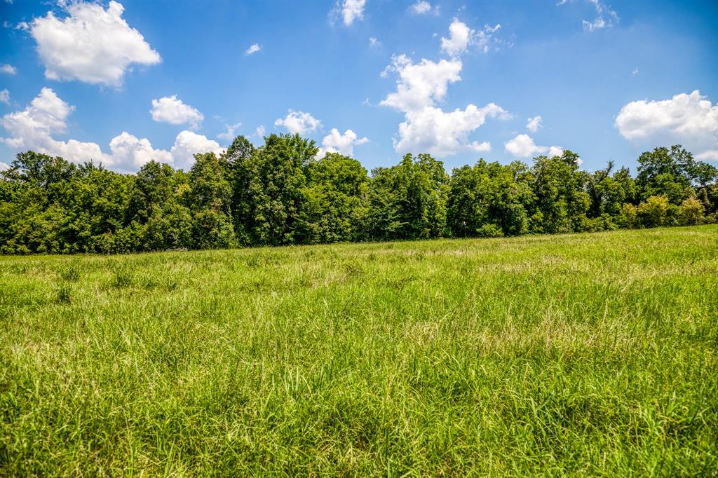 Flat Prairie Road, Washington, Texas image 9