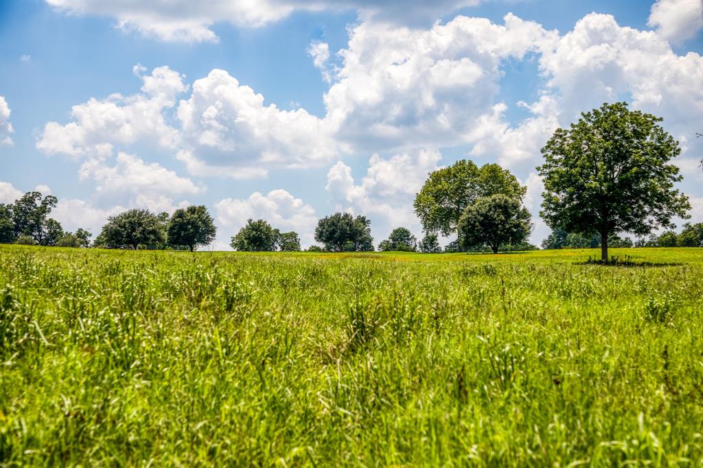 Flat Prairie Road, Washington, Texas image 7