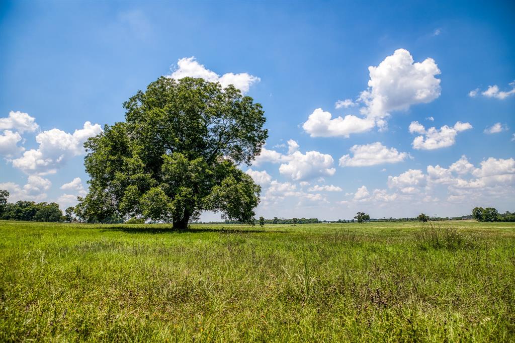 Flat Prairie Road, Washington, Texas image 2