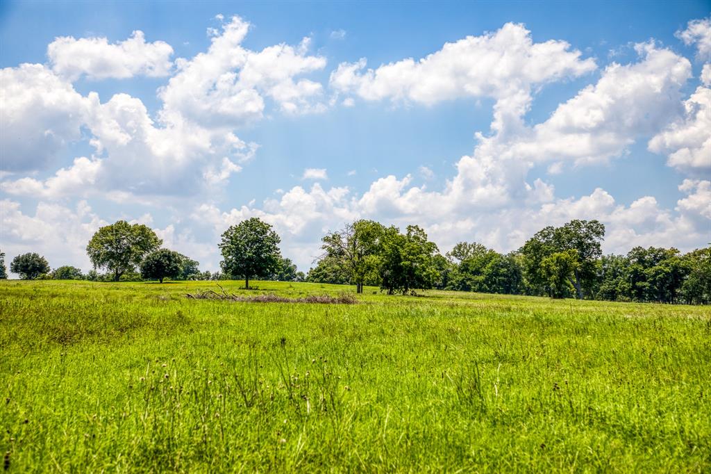 Flat Prairie Road, Washington, Texas image 4