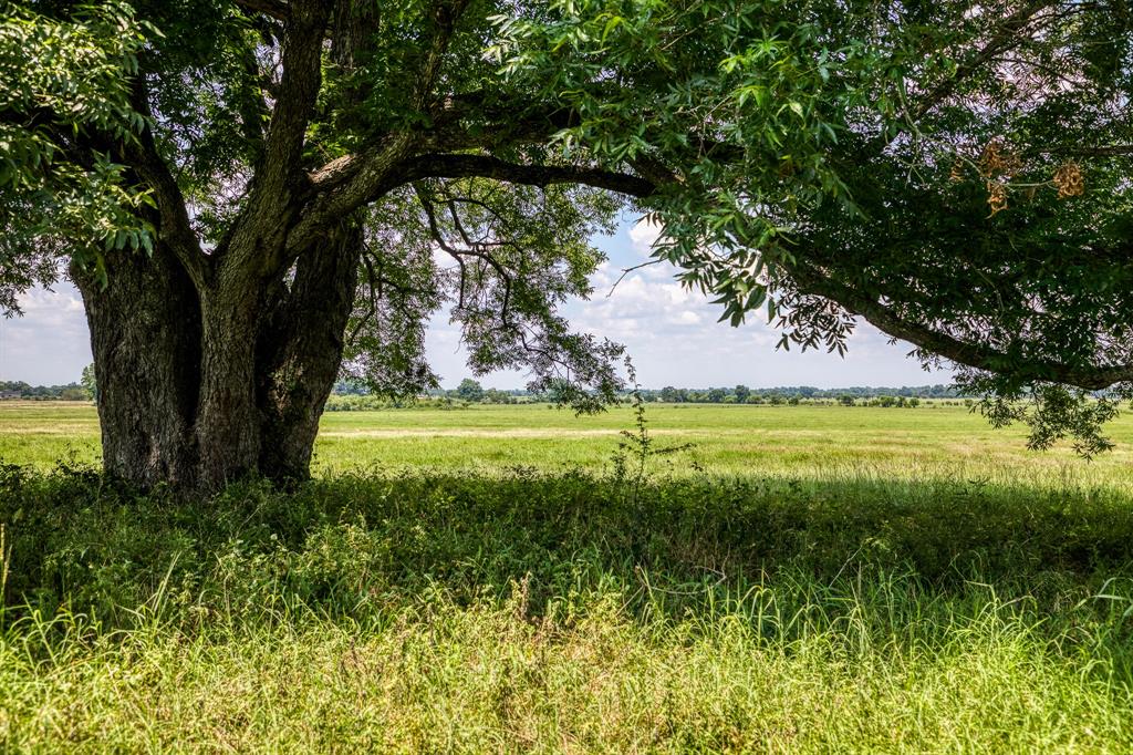 Flat Prairie Road, Washington, Texas image 5