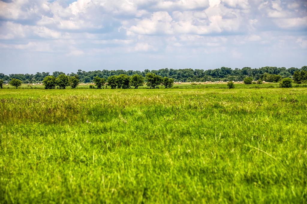 Flat Prairie Road, Washington, Texas image 14