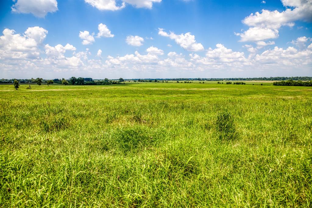 Flat Prairie Road, Washington, Texas image 8