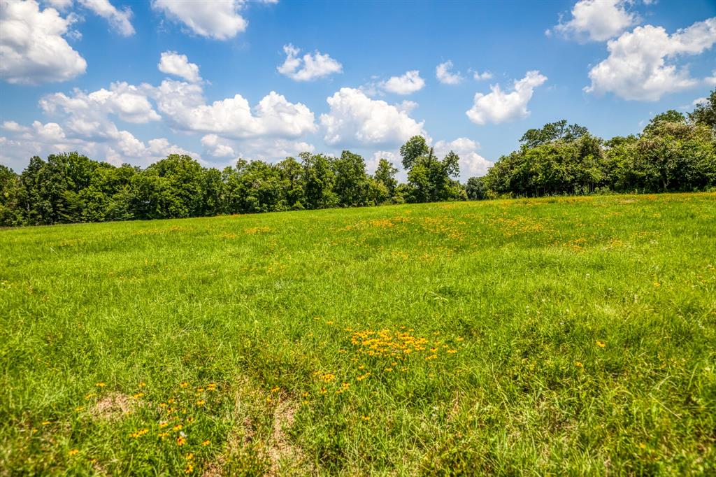 Flat Prairie Road, Washington, Texas image 10