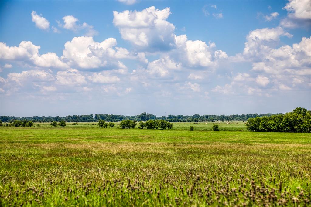 Flat Prairie Road, Washington, Texas image 3